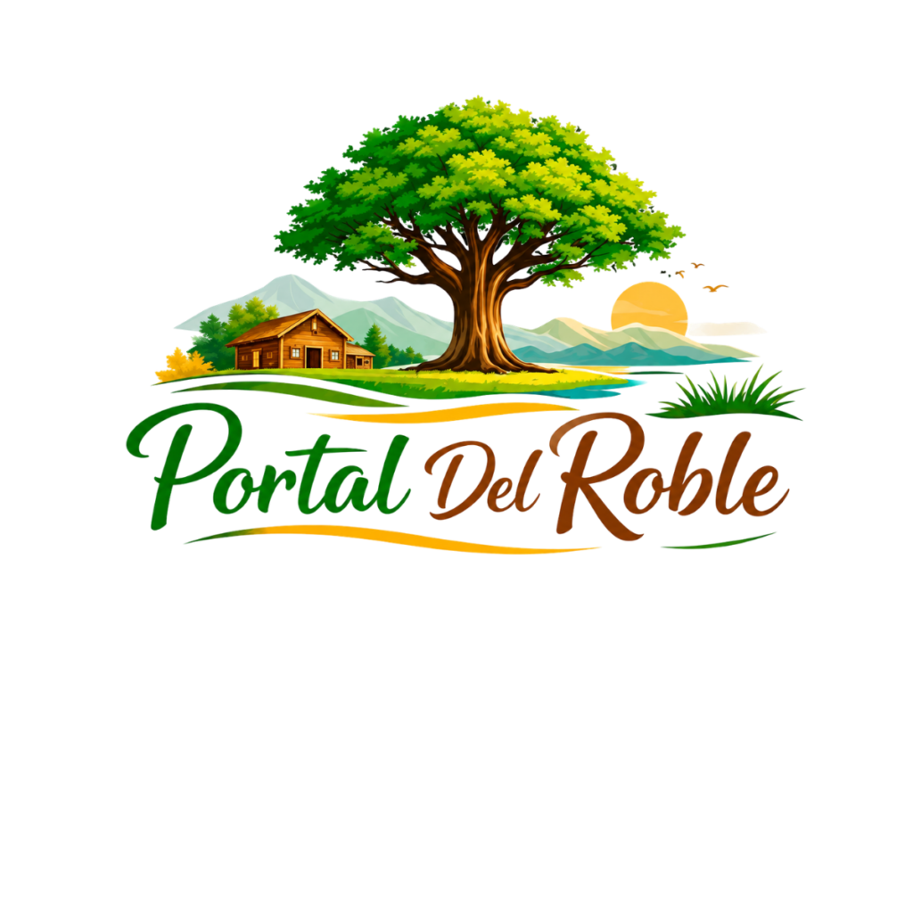 diseño sin título (32)
